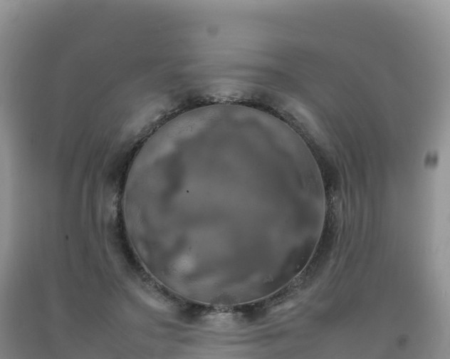 X0000092090499200709191248