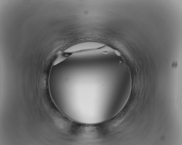 X0000092090501200709191248