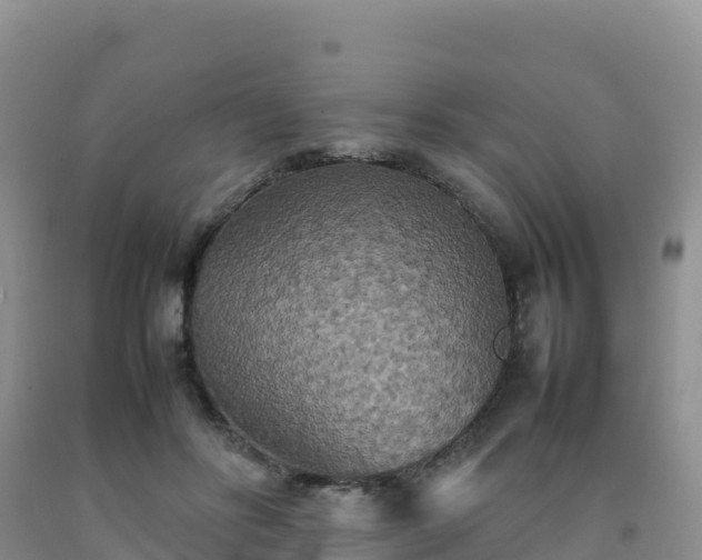 X0000092090502200709191248