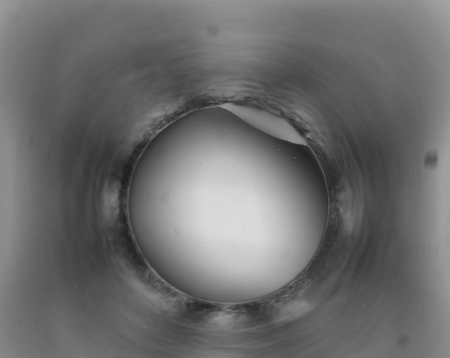 X0000092090504200709191248
