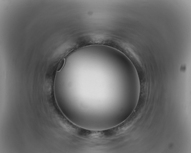 X0000092090505200709191248
