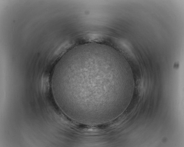 X0000092090506200709191248