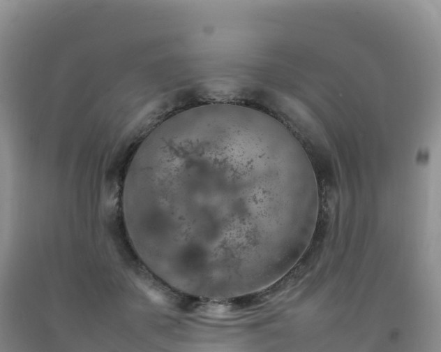 X0000092090507200709191248
