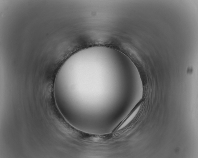 X0000092090509200709191248
