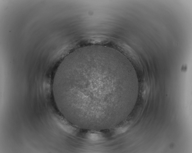X0000092090510200709191248
