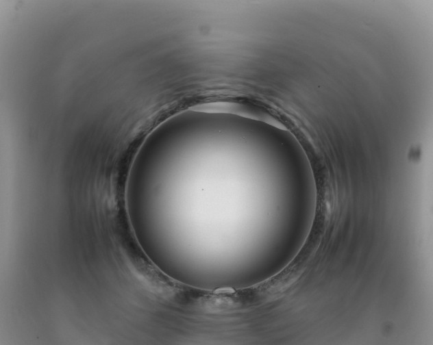 X0000092090512200709191248