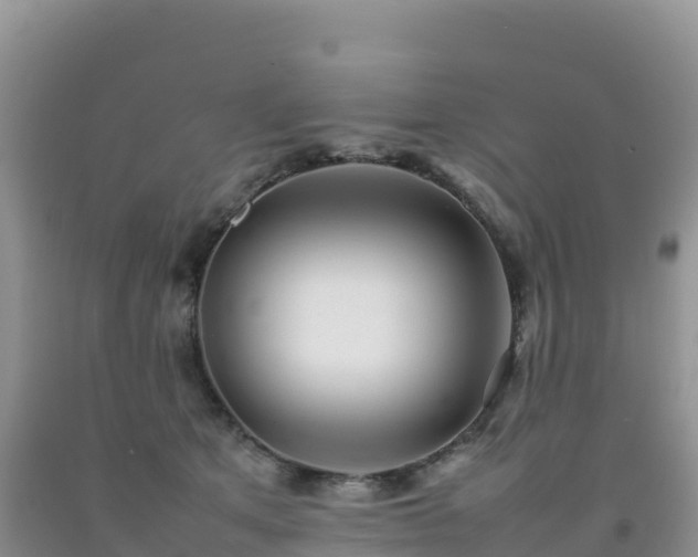 X0000092090513200709191248