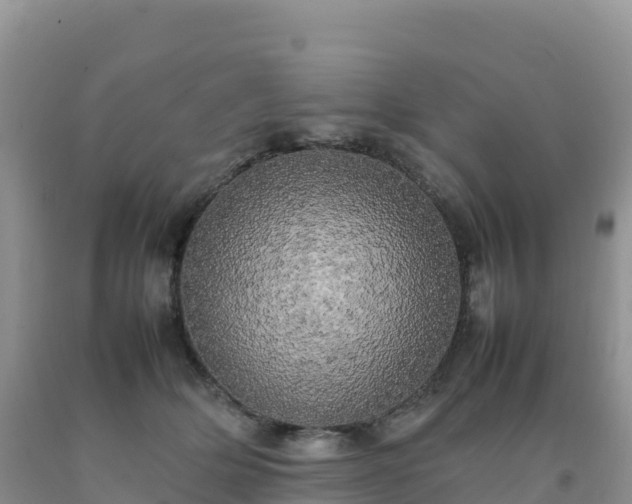 X0000092090514200709191248