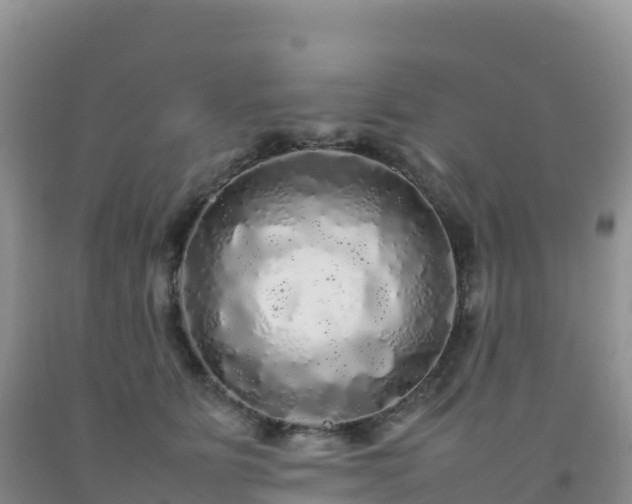 X0000092090515200709191248