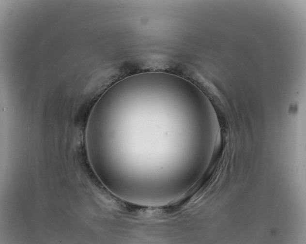 X0000092090517200709191248