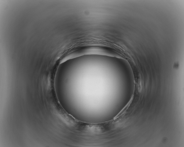X0000092090520200709191248
