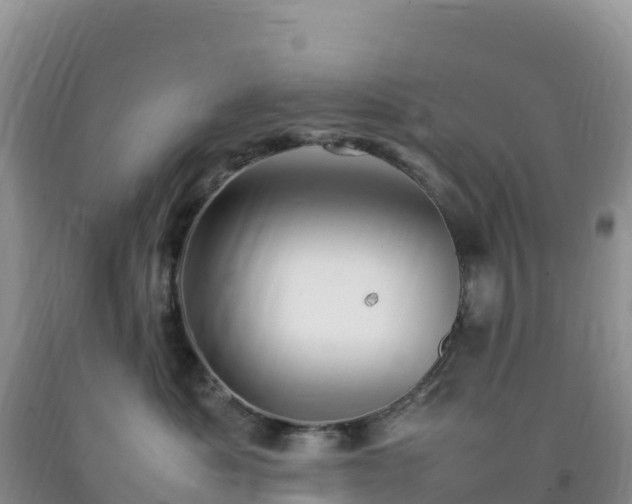 X0000092090525200709191248