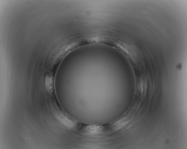 X0000092090526200709191248