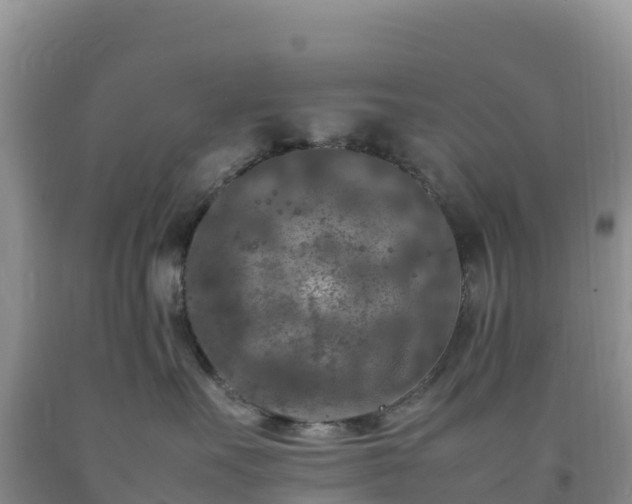 X0000092090527200709191248