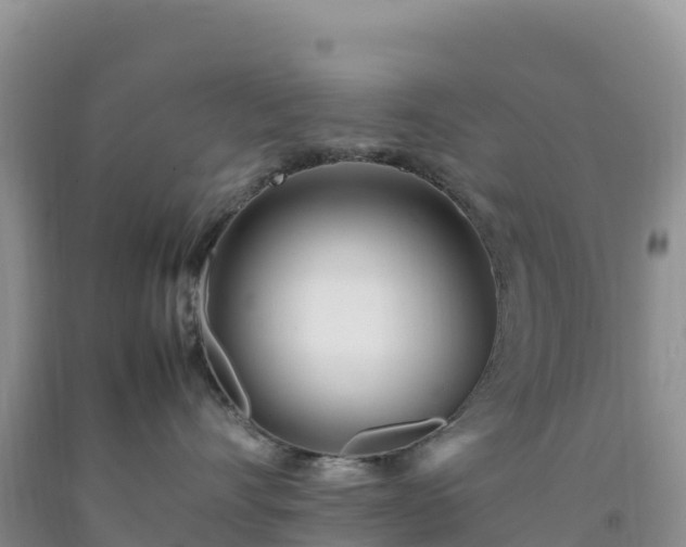 X0000092090528200709191248