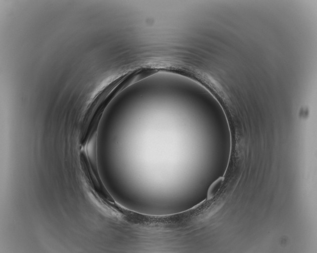 X0000092090530200709191247