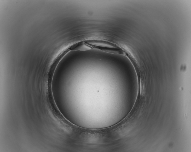 X0000092090531200709191247