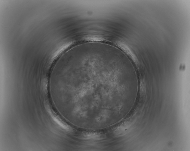 X0000092090533200709191247