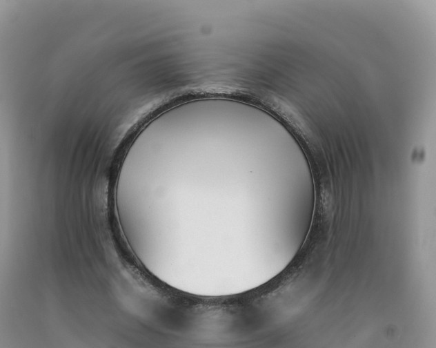 X0000092090534200709191247