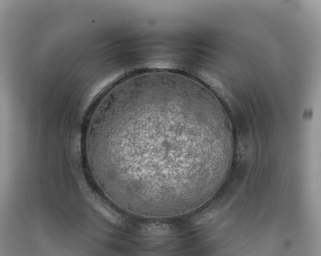 X0000092090535200709191247