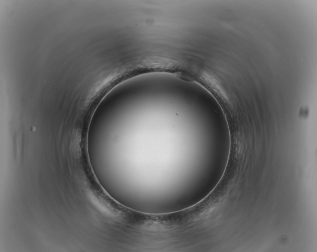 X0000092090538200709191247