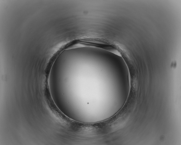 X0000092090540200709191247