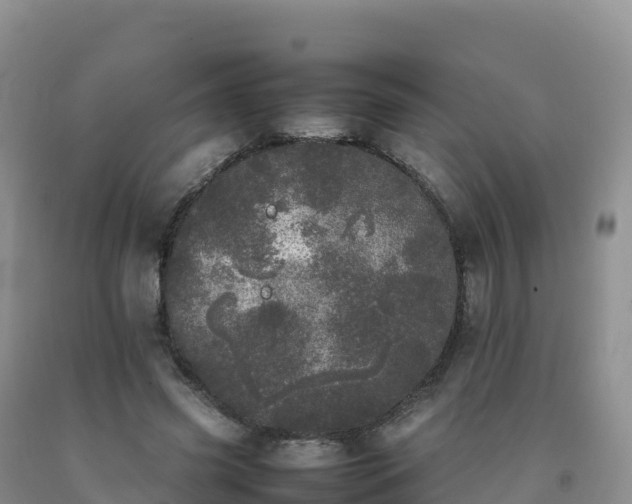 X0000092090541200709191247