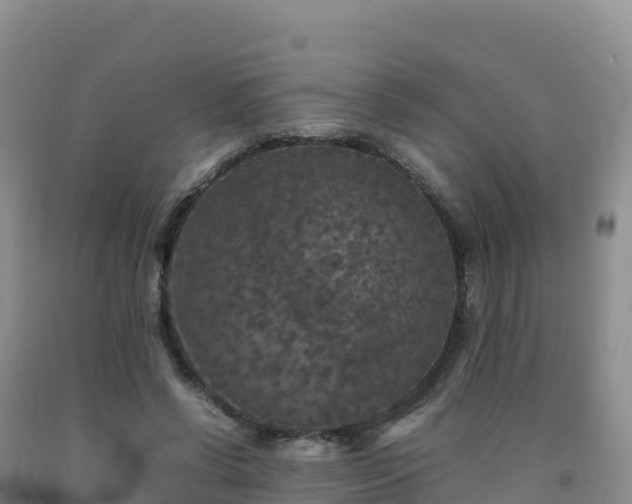 X0000092090542200709191247