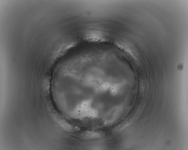 X0000092090545200709191247