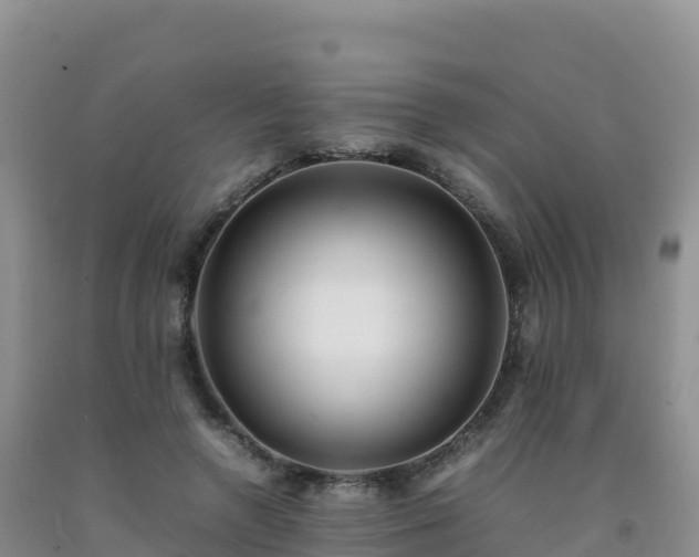 X0000092090546200709191247