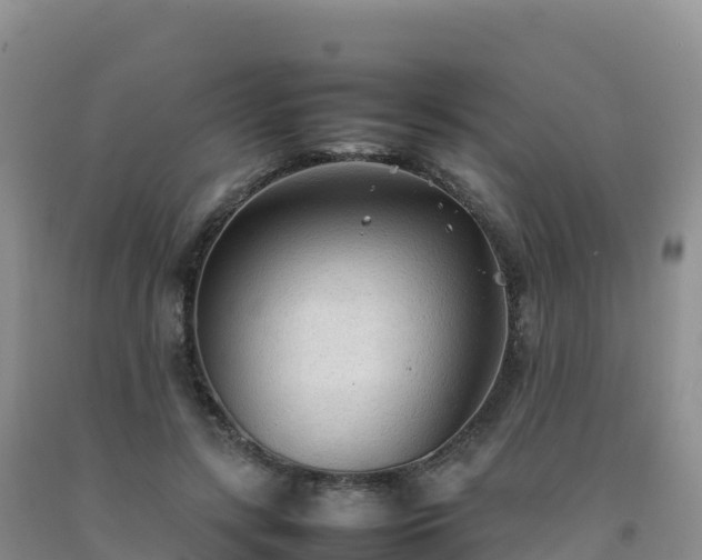 X0000092090547200709191247