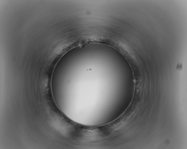 X0000092090548200709191247