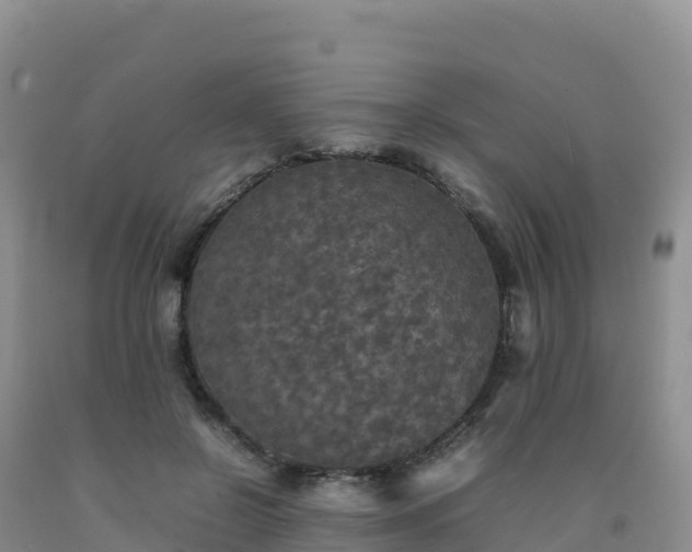 X0000092090550200709191247