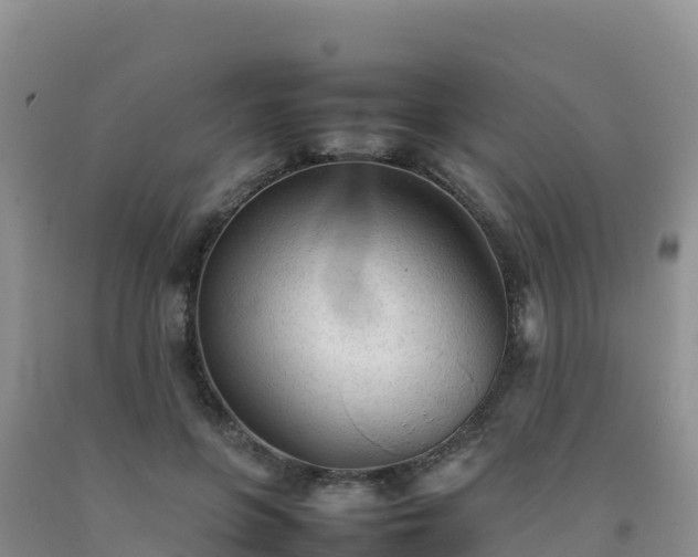 X0000092090551200709191247