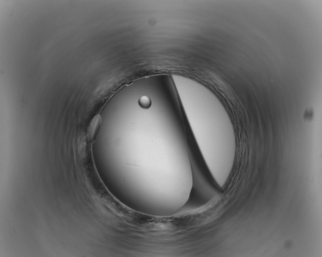 X0000092090552200709191247