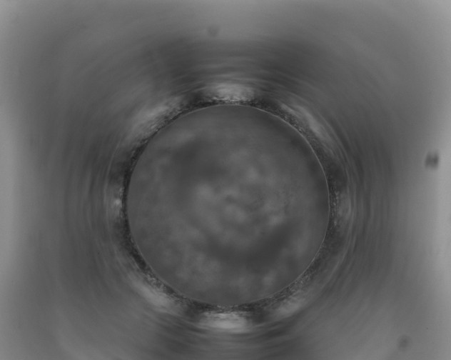 X0000092090553200709191247