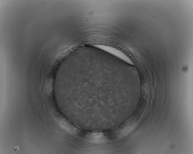 X0000092090554200709191247