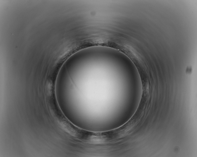 X0000092090556200709191248
