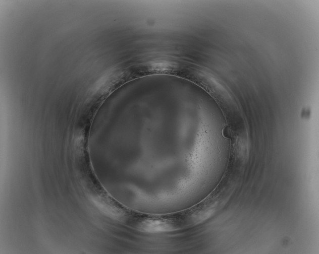 X0000092090557200709191248