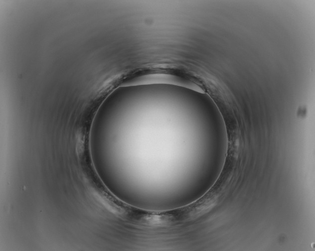X0000092090558200709191248