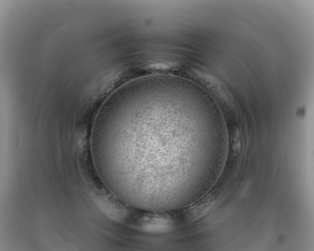 X0000092090559200709191248