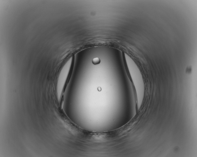 X0000092090560200709191248
