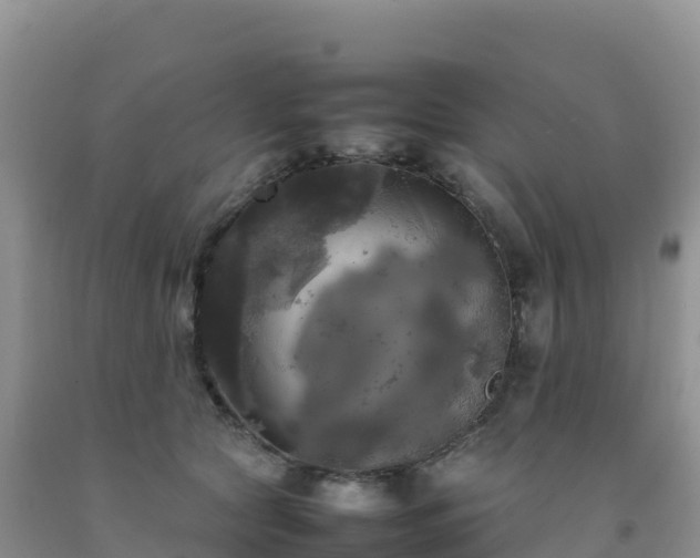 X0000092090561200709191248