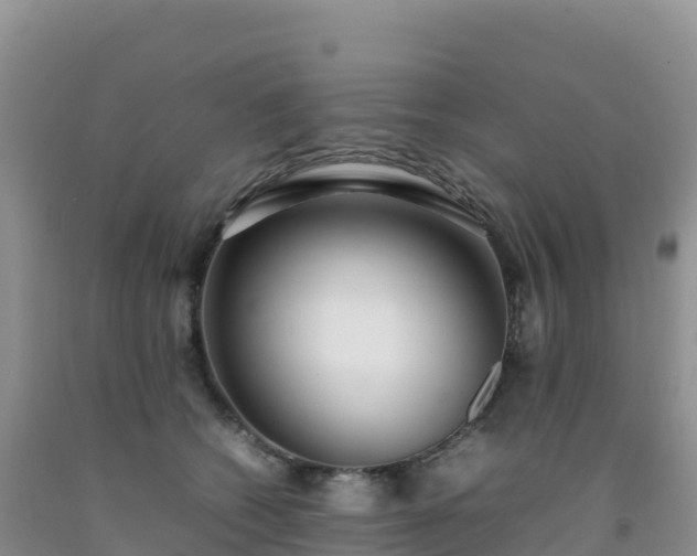 X0000092090562200709191248