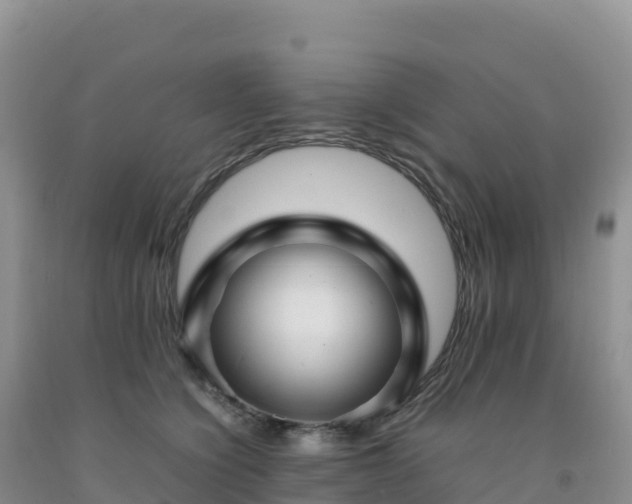 X0000092090564200709191248