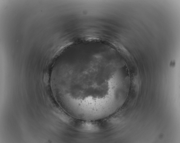 X0000092090565200709191248
