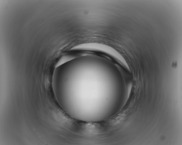 X0000092090566200709191248