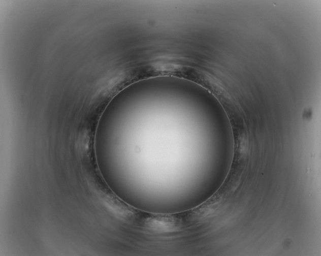 X0000092090567200709191248