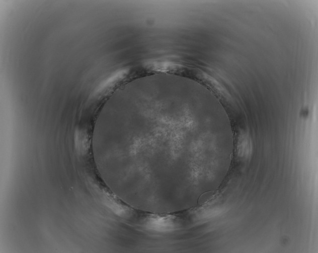 X0000092090569200709191248