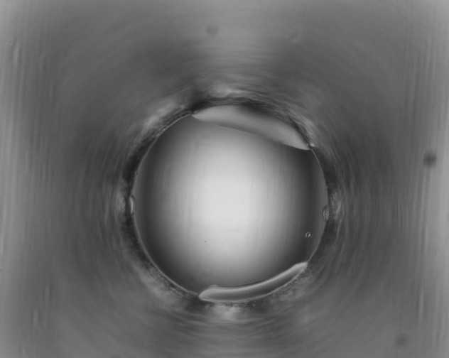 X0000092090570200709191248